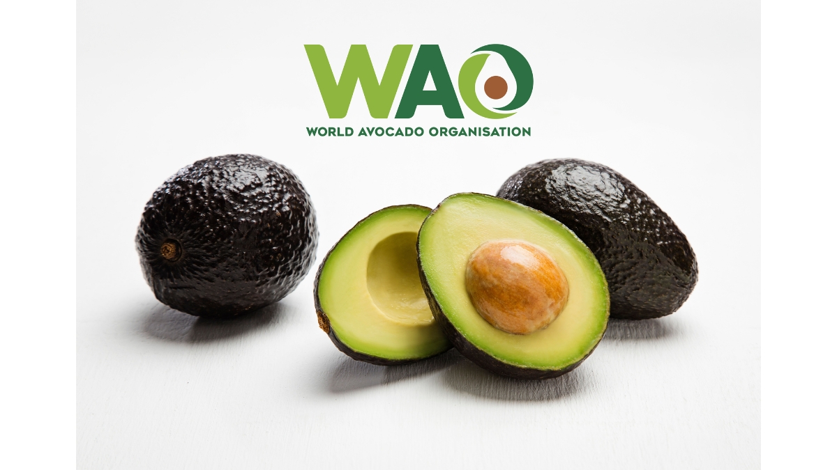 World Avocado Organisation Highlights Avocado’s Role in Post-Monsoon Wellness as India Enters the Festive Season