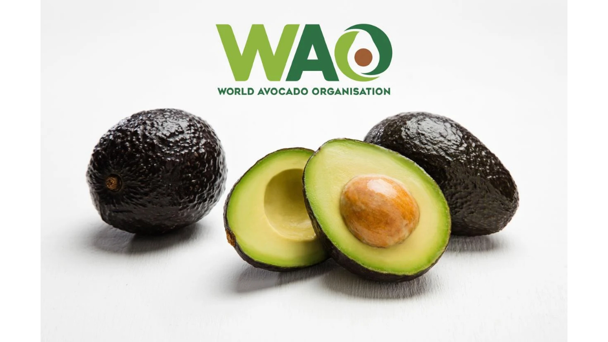Beyond Sabudana and Kuttu: Fresh Ideas to Bring Avocado to the Navratri Table